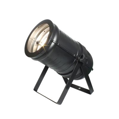 DIALIGHTING LED PC-PAR 200 ZOOM (товар снят с производства)